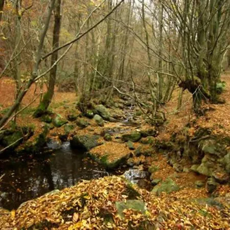 Peaceful Garden Home,