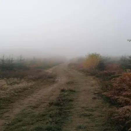 Peaceful Garden Home, *