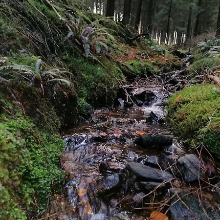 Casa vacanze Peaceful Garden Home, Chevron