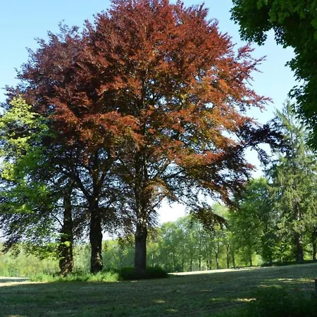 Peaceful Garden Home, * Chevron