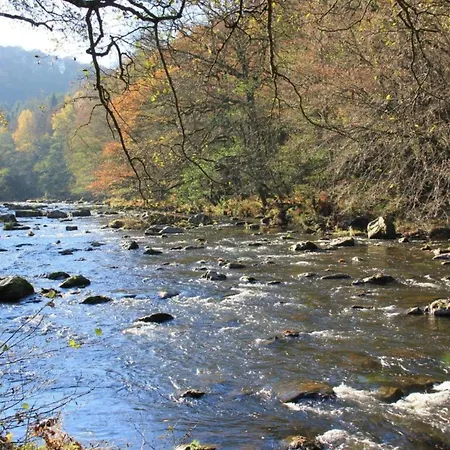 Peaceful Garden Home, * Chevron