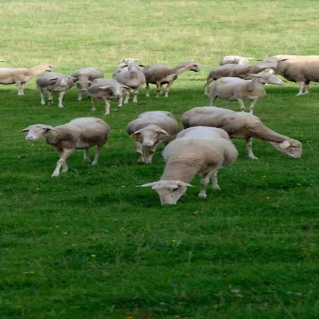 Peaceful Garden Home,